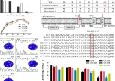 Selection and characterization of manidipine-resistant JEV.jpg